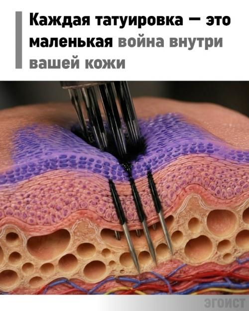 Татуировка остаётся с вами не потому, что чернила вечные.

