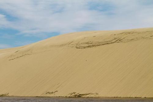 Куршская коса - одно из многочисленных природных достояний России. 08