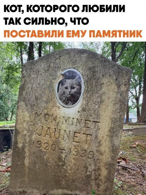 Среди деревьев мемориального парка в Мэриленде стоит старая, потрёпанная временем могильная плита. 
