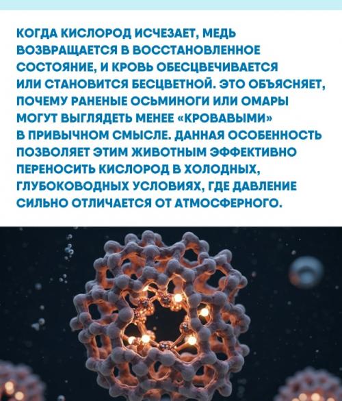 Природа постоянно нас своим разнообразием и изобретательностью удивляет. 02