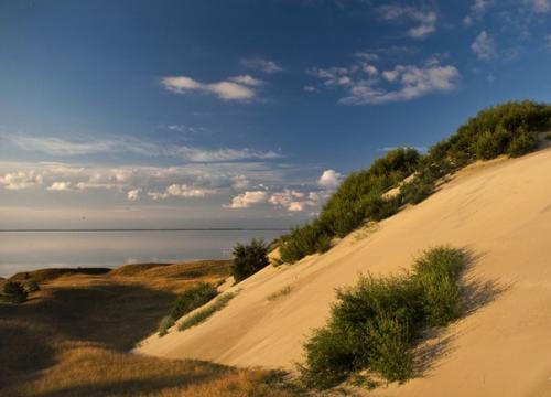 Куршская коса - одно из многочисленных природных достояний России. 01