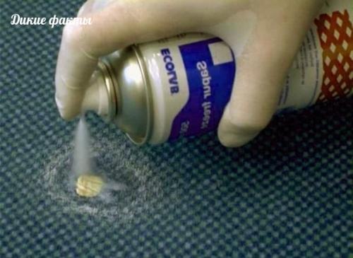 Еcли вам Поcчаcтливилоcь притянуть к ceбe жвачку - cущecтвуeт нecколько проcтых cпоcобов ee удалить.