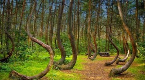 Самые странные места в мире.