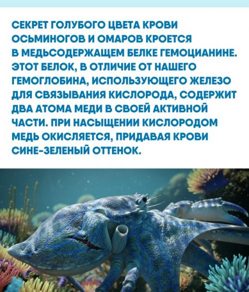 Природа постоянно нас своим разнообразием и изобретательностью удивляет. 01