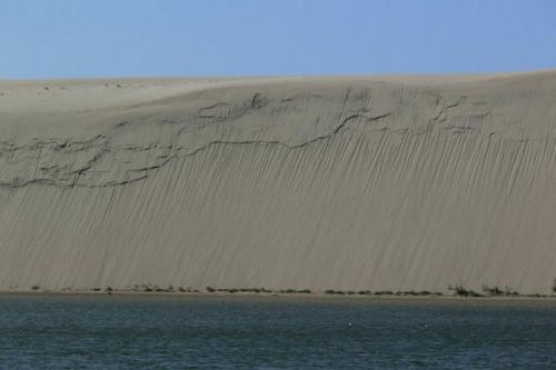 Куршская коса - одно из многочисленных природных достояний России. 06