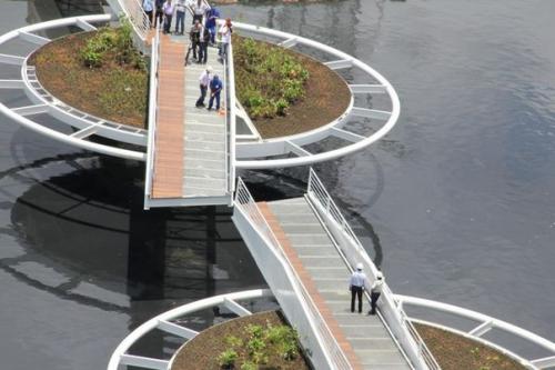 Необычный мост фридриха Байера в Сан-Паулу. 07