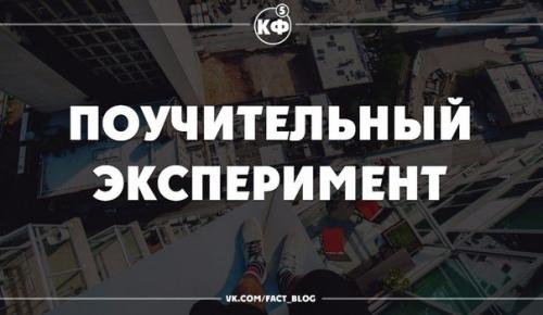 В большой аквариум поместили щуку.  