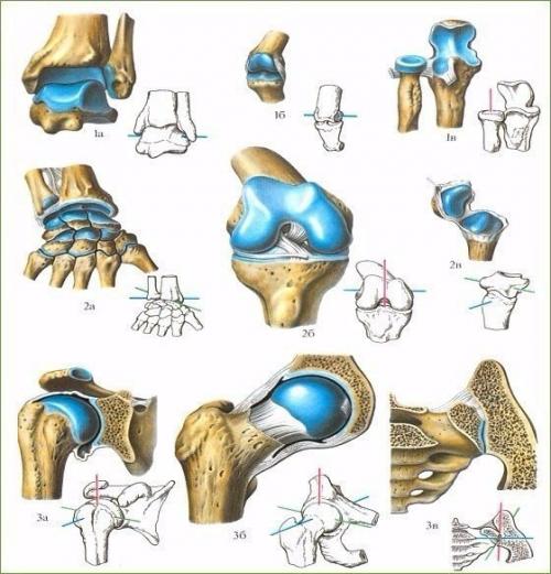 Про суставы. У вас проблема с суставами? Про суставы. У вас проблема с суставами?