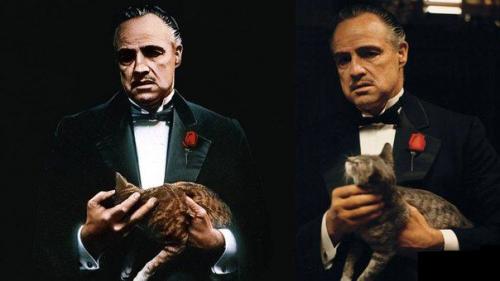 Знаменитая кошка Дона корлеоне из Крёстного Отца забрела на съёмочную площадку случайно.