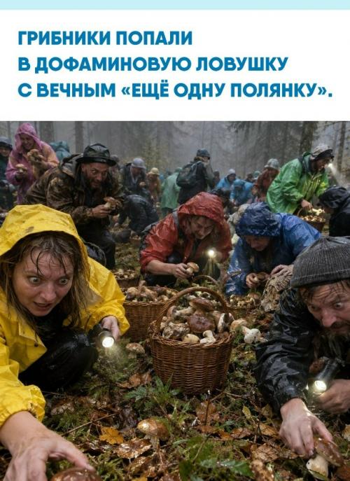Оказывается, знакомое желание заглянуть 