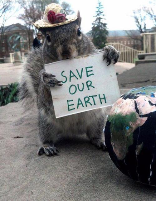 Американская студентка дружит с белками и переодевает их в разные костюмы. 02