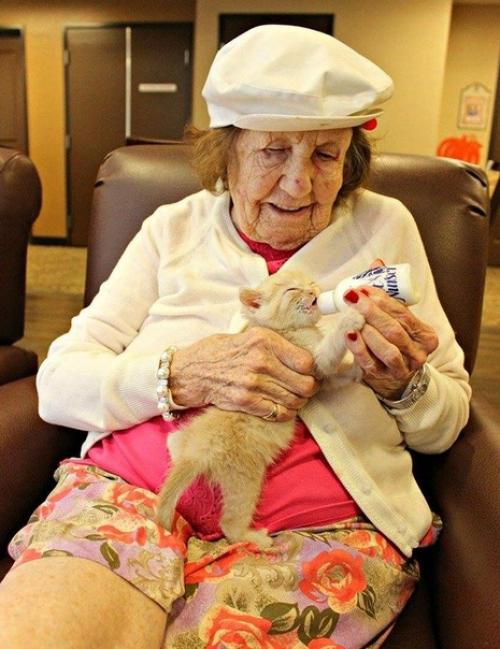 Торт Крот.   Он же Норка Крота или бананы в снегу. 02