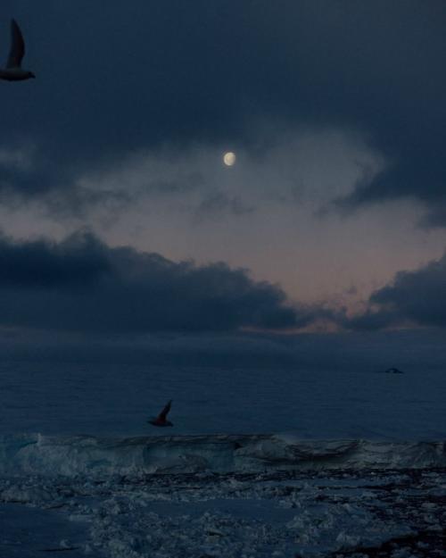 Фотографу удалось поймать действительно уникальный момент. 02