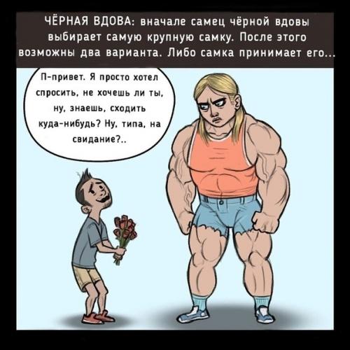 Чтобы бы было, если люди флиртовали как животные. 03