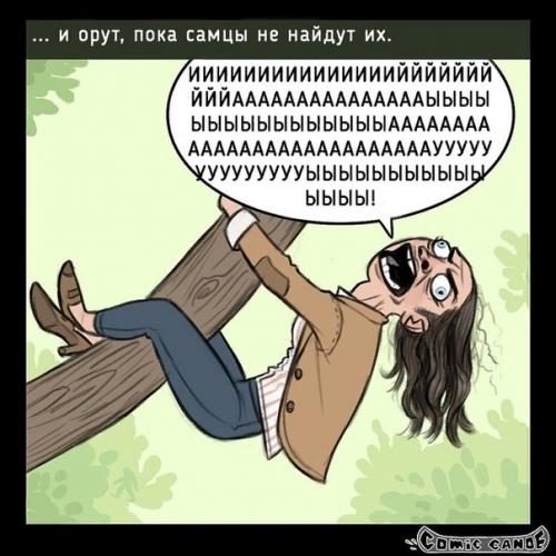 Чтобы бы было, если люди флиртовали как животные. 08