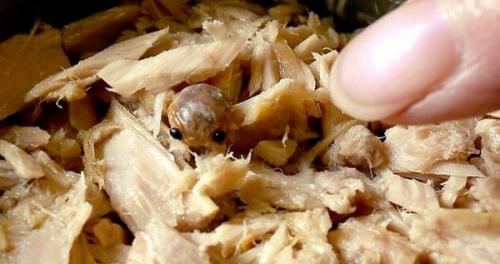 Зверь в банке.

