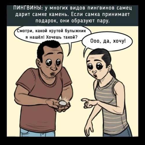 Чтобы бы было, если люди флиртовали как животные. 05