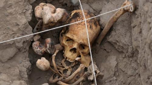 В Шотландии под детской площадкой нашли скелет пирата.