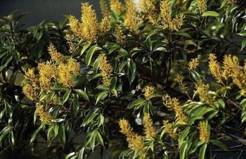 А вы животных на фотографиях видите? 08