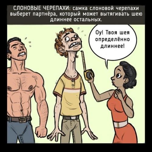 Чтобы бы было, если люди флиртовали как животные. 01