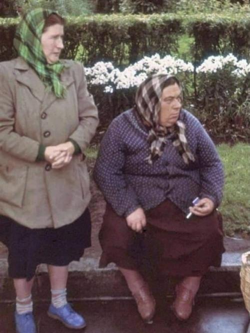 На фотографии 1959 года запечатлены две женщины из колхоза, которые ждут автобус после похода за грибами.  