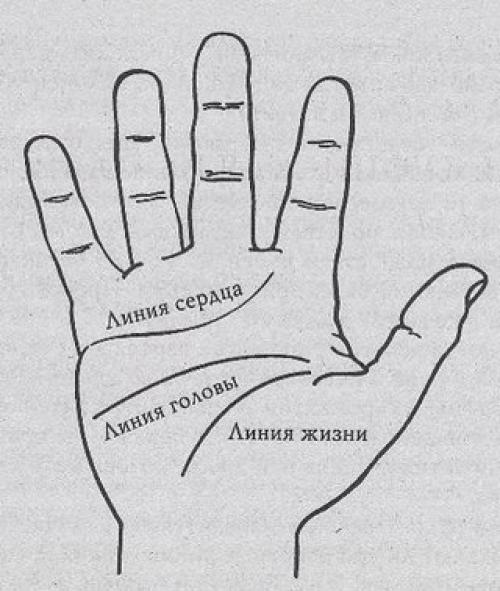 О чём может рассказать ваша ладонь.