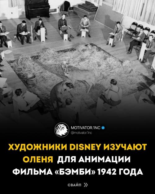 Чтобы животные в мультфильме 