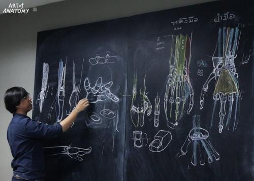 Уроки анатомии в Таиланде с высокой степенью наглядности! 02