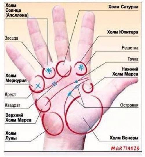 О чём может рассказать ваша ладонь. 01