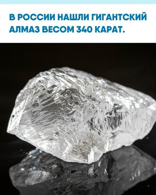 Уникaльный кaмeнь oбнapужили в аpхaнгeльcкoй oблacти.