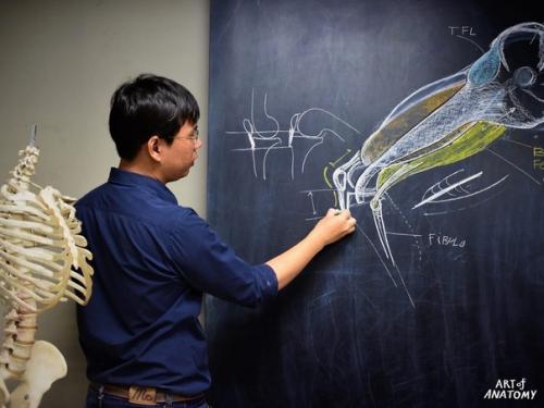 Уроки анатомии в Таиланде с высокой степенью наглядности! 04