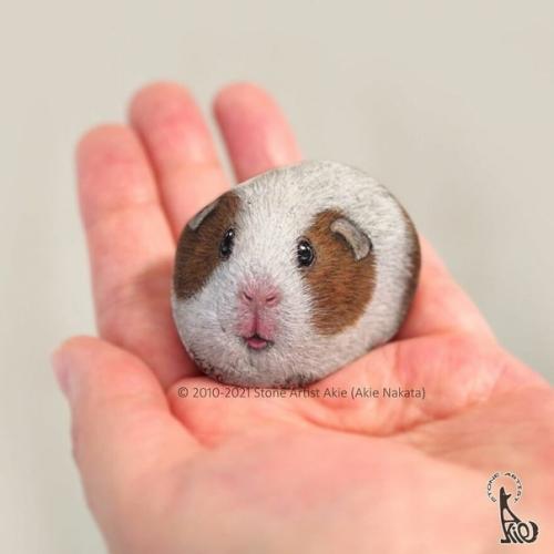 Японская мастерица Акиэ наката Художница по Камню. 06