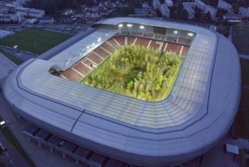 На футбольном стадионе вертерзее - штадион в городе Клагенфурт в Австрии высадили настоящий лес. 01