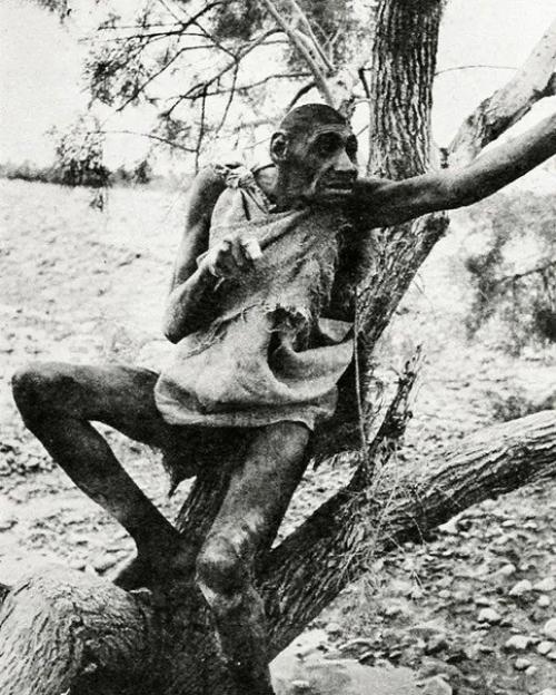 В Марракеше был найден человек по имени аззо бассоу, который по внешним признакам походил на неандертальца.  