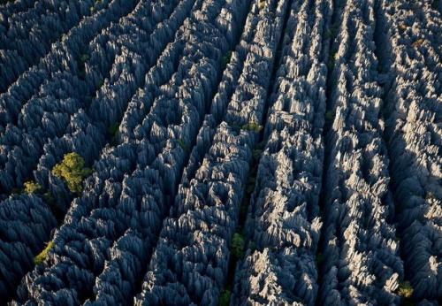 Загадка возникновения каменного леса на Мадагаскаре. 01