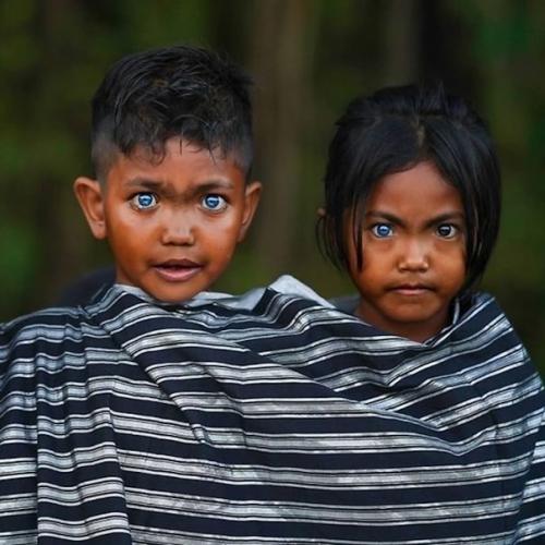 Большинство представляет коренных жителей Индонезии, живущих в тропических лесах, смуглыми, черноволосыми и темноглазыми. 02