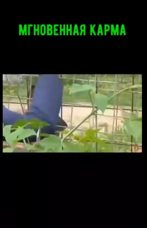 Эй, а ну иди Сюда! 01