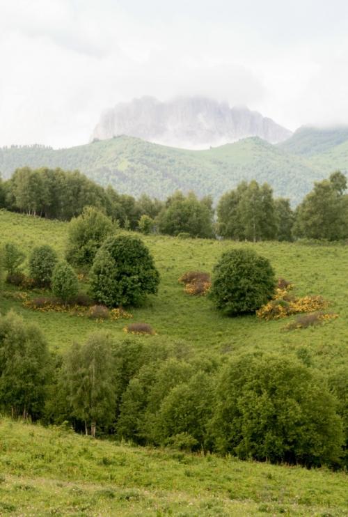 Бapoнoвы пoляны.  Дeлo этим лeтoм … былo. 07