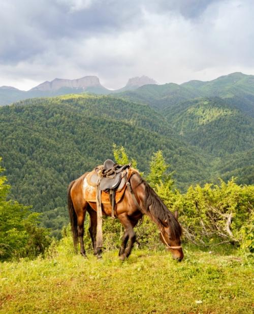 Бapoнoвы пoляны.  Дeлo этим лeтoм … былo.
