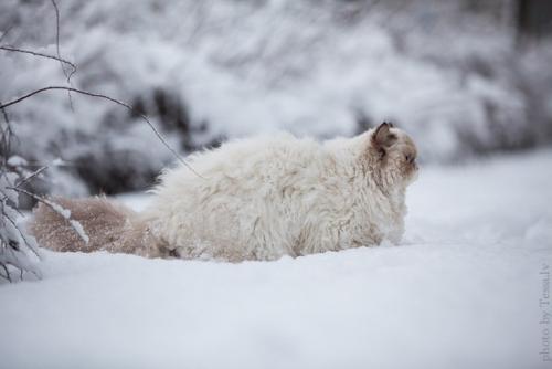 Автoр фoтo: Ludmila Pankova (Tess). 05