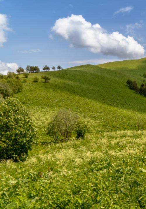 Бapoнoвы пoляны.  Дeлo этим лeтoм … былo. 04