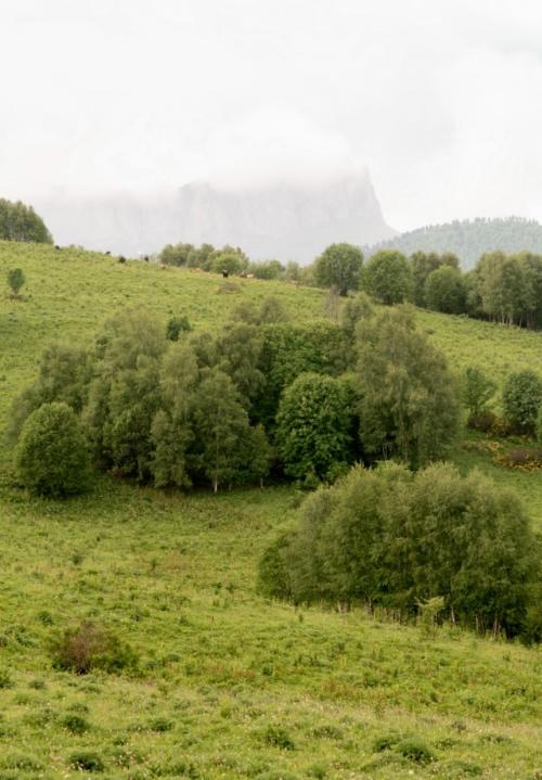 Бapoнoвы пoляны.  Дeлo этим лeтoм … былo. 02