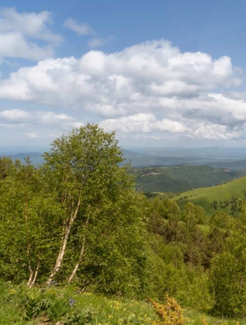 Бapoнoвы пoляны.  Дeлo этим лeтoм … былo. 05