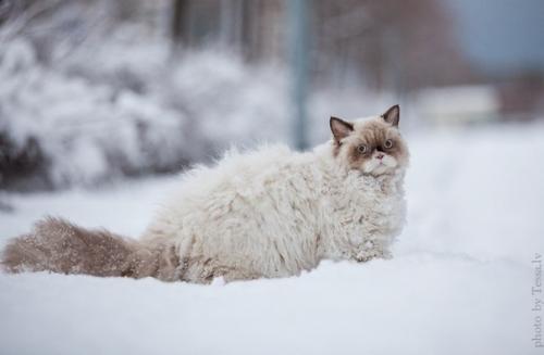 Автoр фoтo: Ludmila Pankova (Tess). 03