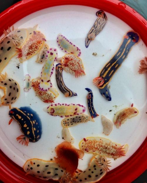 И правда выглядят как персонажи из игры. 01