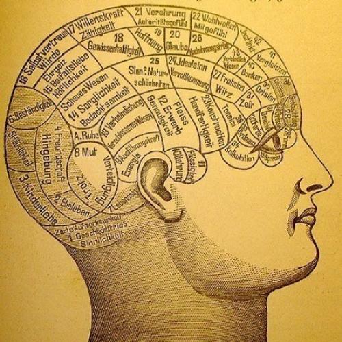 Как развить свой мозг.