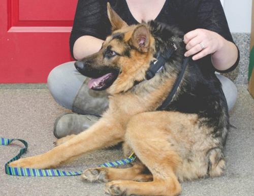 Когда внешность совсем не важна!