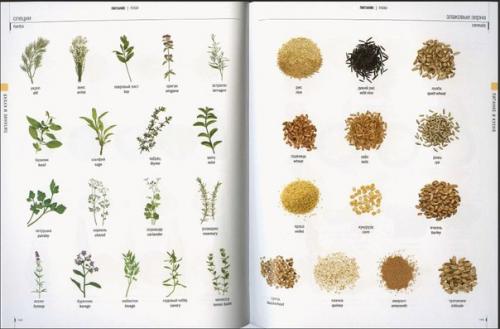 Отборные рецепты супчиков. 06