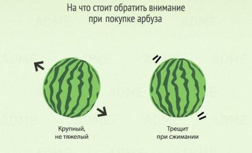 8 признаков хорошего арбуза.

