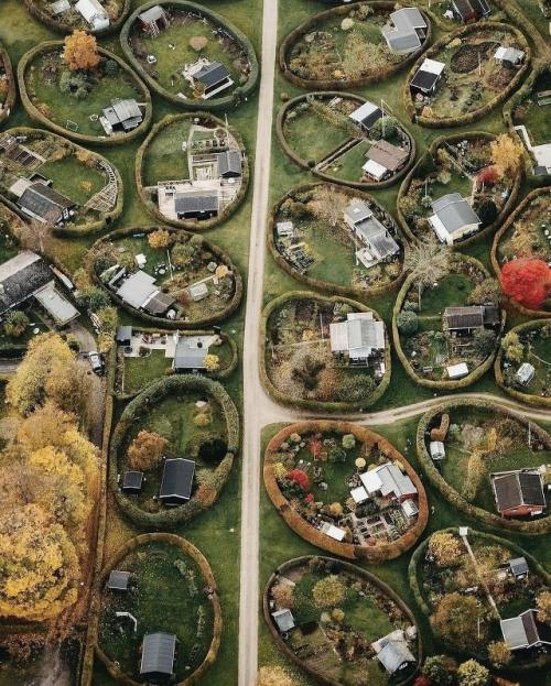 В Дании есть улица, где каждый дом словно спрятан в зелёном кольце. 02